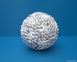 beruehre_mich_sauermann_2010