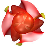 jotero_2008_algebra_174